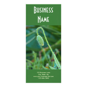 Panfleto Papoila em andamento