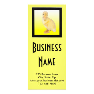 Panfleto Personalização Adorável De Cuidados Animais De Fot