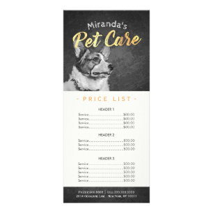 Panfleto Pet Care Sitting Grooming Beaut Salon Price List