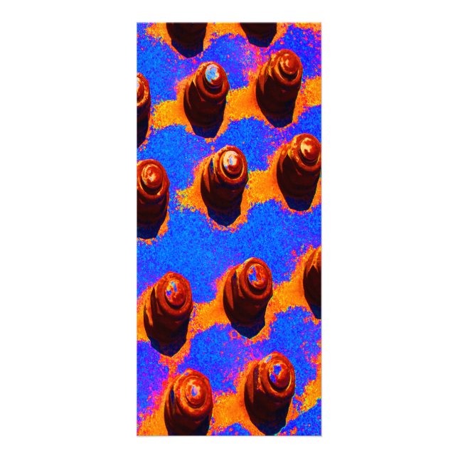 Panfleto Pinos antigos (Frente)