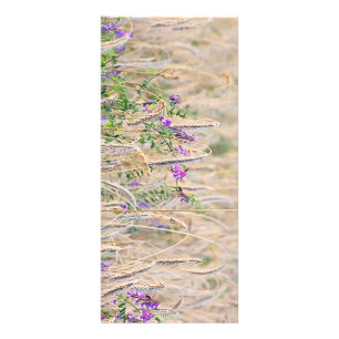 Panfleto Placa de rack de grão em crescimento