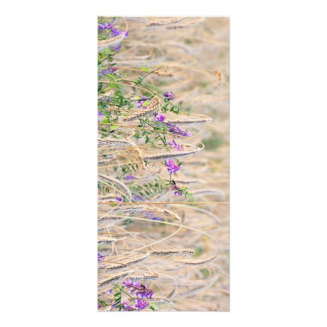 Panfleto Placa de rack de grão em crescimento (Frente)