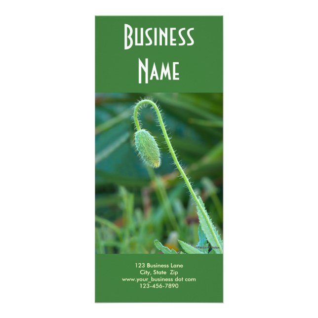 Panfleto Poppy em Andamento (Frente)