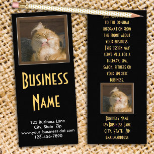 Panfleto Racum de Maine que Preening perto acima da