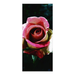 Panfleto Rosa vermelha pintada a óleo