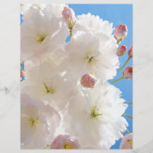 Panfletos de primavera em papel branco rosa árvore