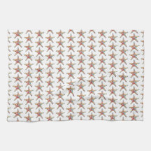 Arco-íris da estrela do mar