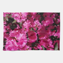 Blogues de Flores Rosa