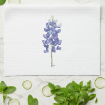 Bluebonnet da Flor Selvagem do Texas