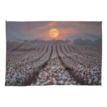 Cotton Field Harvest Moon - Farmhouse Decor
