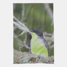 Cozinha de Pássaros