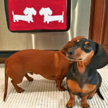Dachshund Kitchen Dish Towle Waffle