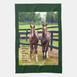 Pano De Prato Dois amigos com provérbios 18:24