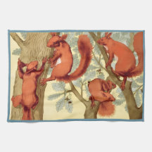 Esquilos vermelhos vintage natureza outono Verneui