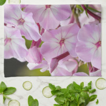 Fotografia Floral, Flor Fogo Rosa