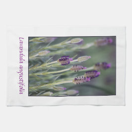 Pano De Prato Lavanda na flor