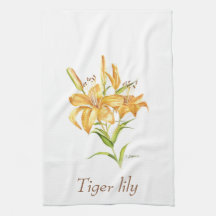 Lily botânica, cor-de-água floral, Tiger