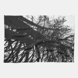 Pano De Prato olhar para cima nas árvores