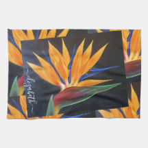Pássaro Laranja Floral Elegante De Nome Do Paraíso