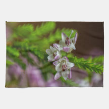 Primavera de Heather flor verde florescente branco
