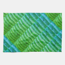 Urnas de Cozinha Inspiradas pela Natureza