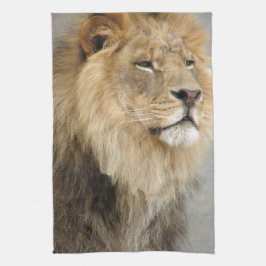 Panos De Prato Arte de Leões