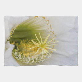 Panos De Prato Dentro de um cacto branco em flor