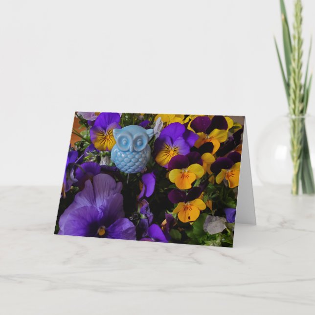 Pansies e cartão de coruja (Frente)