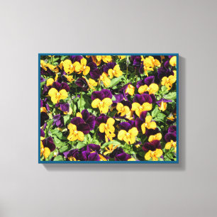 Pansy Overload Stretered Canvas Print