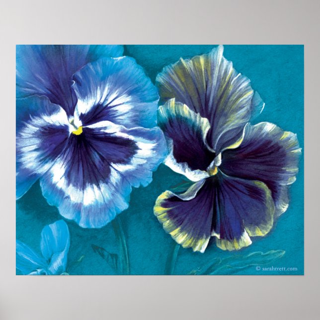 Pansy study fine art poster floral (Frente)