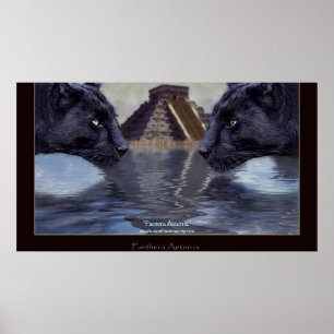 PANTHER PRETO & CHICHEN ITZA Art Poster