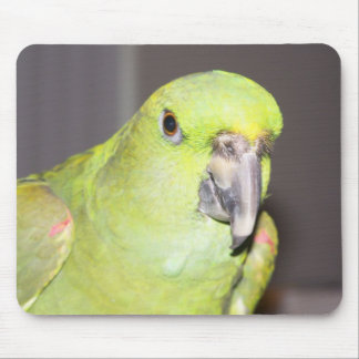 Papagaio Amarelo-Naped Mousepad de Amazon