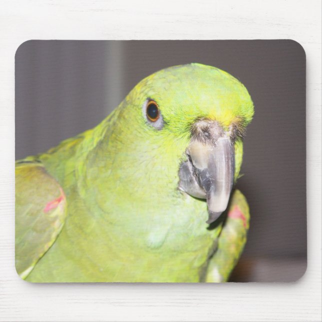 Papagaio Amarelo-Naped Mousepad de Amazon (Frente)