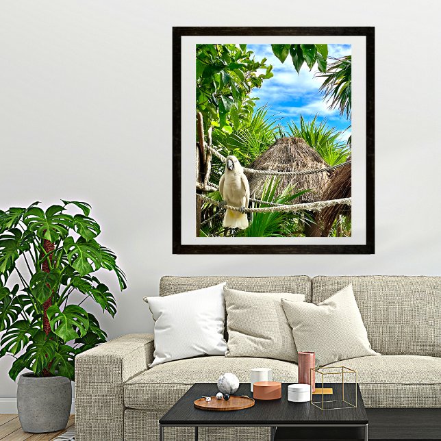 Papagaio Branco Caribe Mexicano Poster (Criador carregado)