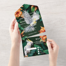 Papagaio-da-selva hibiscus monstera