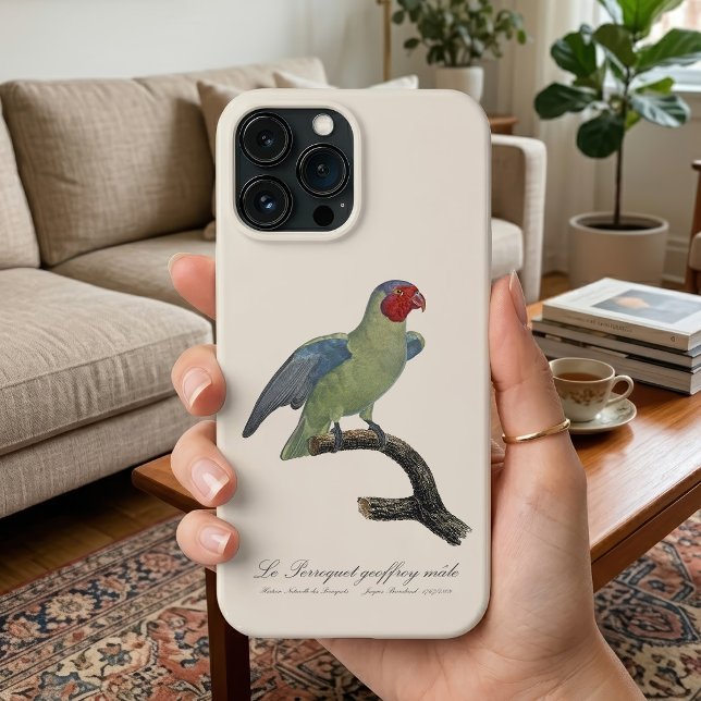 Papagaio-de-bochecha-vermelha-macho, Geoffroyus ge (Male Red-Cheeked Parrot, Geoffroyus geoffroyi. iPhone Case)