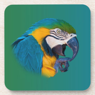 Papagaio do Macaw, porta copos customizável da