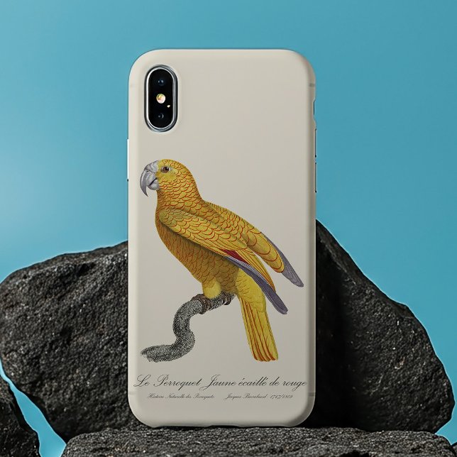 Papagaio do Paraíso de Cuba, Psittacus Paradisi (Le Perroquet Jaune ecaille de rouge. iPhone 13 Pro Max Case)