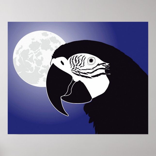 Papagaio era poster (Frente)