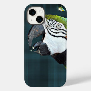 Papagaio Macaw com Bolhas