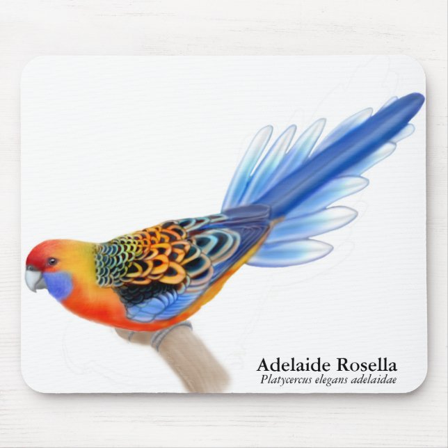 Papagaio Mousepad de Adelaide Rosella (Frente)