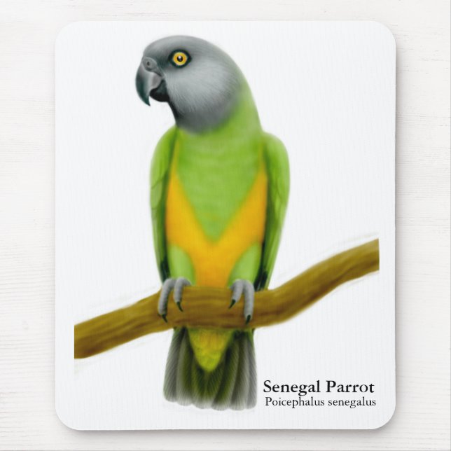 Papagaio Mousepad de Senegal (Frente)