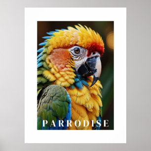Papagaio Poster