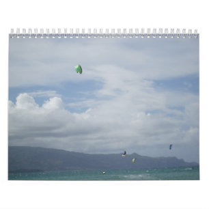 Papagaio que surfa o calendário 2009