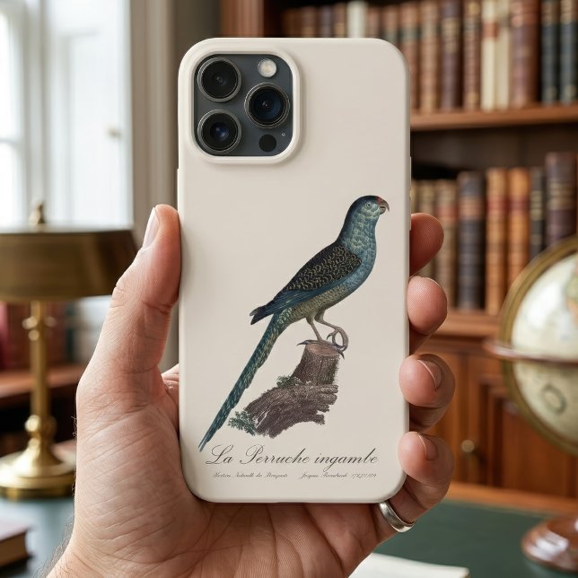 Papagaio-terra ou Papagaio-do-brejo, Pezoporus Wal (Ground Parrot or Swamp Parrot, Pezoporus Wallicus. iPhone Case)