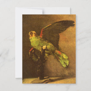 Papagaio Verde por Vincent van Gogh, Vintage Fine 