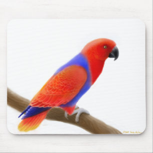 Papagaio vermelho fêmea Mousepad de Eclectus