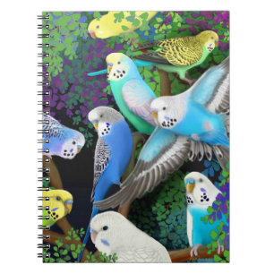 Papagaios do Budgerigar no caderno das samambaias