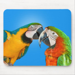 Papagaios no amor Mousepad