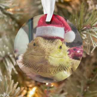 Papais noeis Bubbs Ornamento acrílico